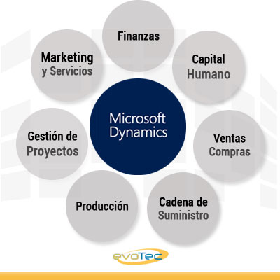 Dynamics NAV Madrid